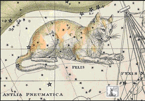 la constellation du chat de Jérôme de Lalande.